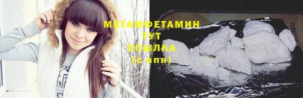 ГАЛЛЮЦИНОГЕННЫЕ ГРИБЫ Болотное
