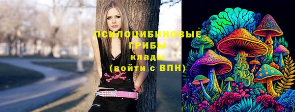 крисы Вяземский