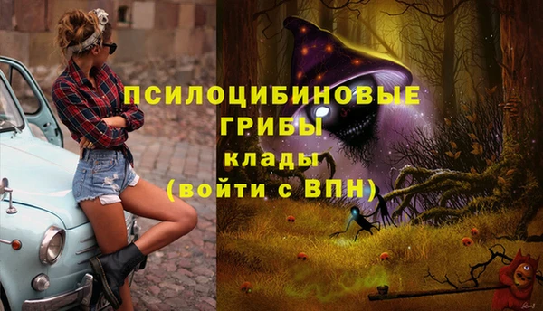 MESCALINE Вязьма