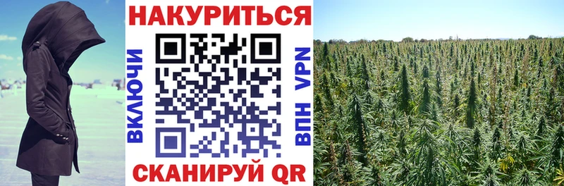 Канабис план Голицыно